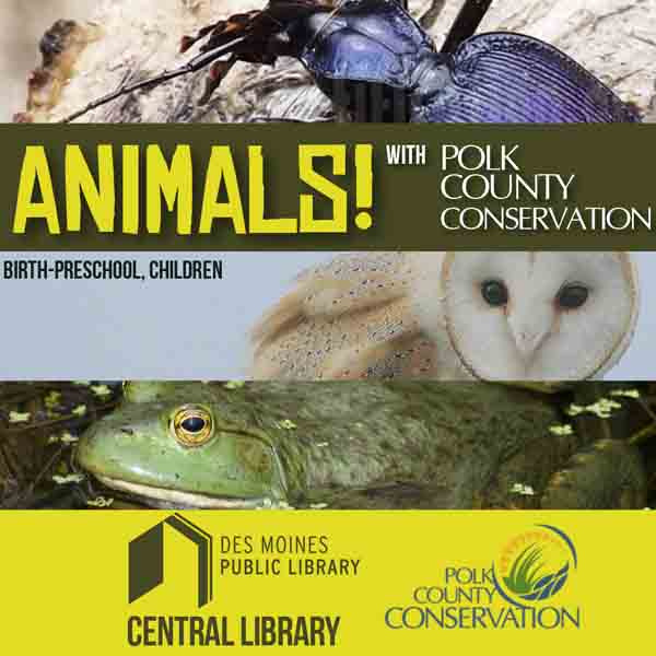 Polk County Conservation Amphibians
